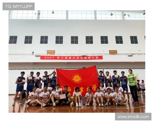 英超水晶宫球队：深入了解水晶宫队的历史与挑战