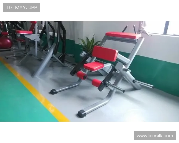 跪着的健身器材：跪姿训练用健身器材介绍与使用方法