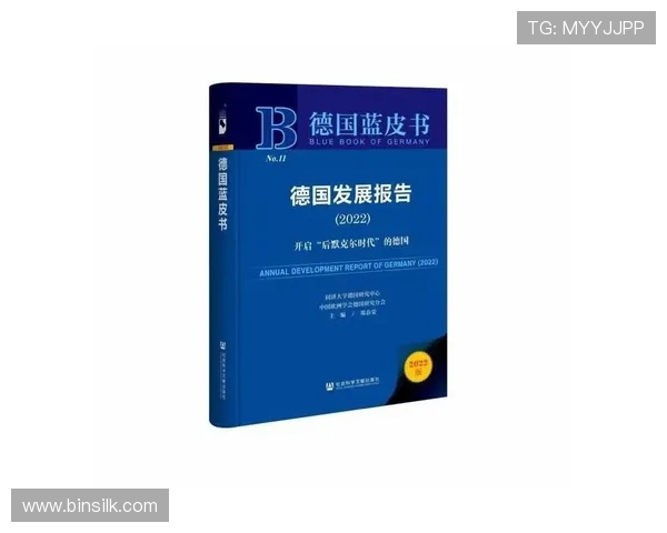 德甲球队的升级规则与其影响力分析